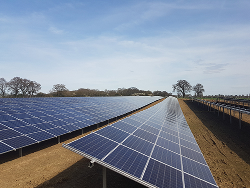 Clean Solar Solutions Clinch Greencells Solar Farm Ground Maintenance Contract