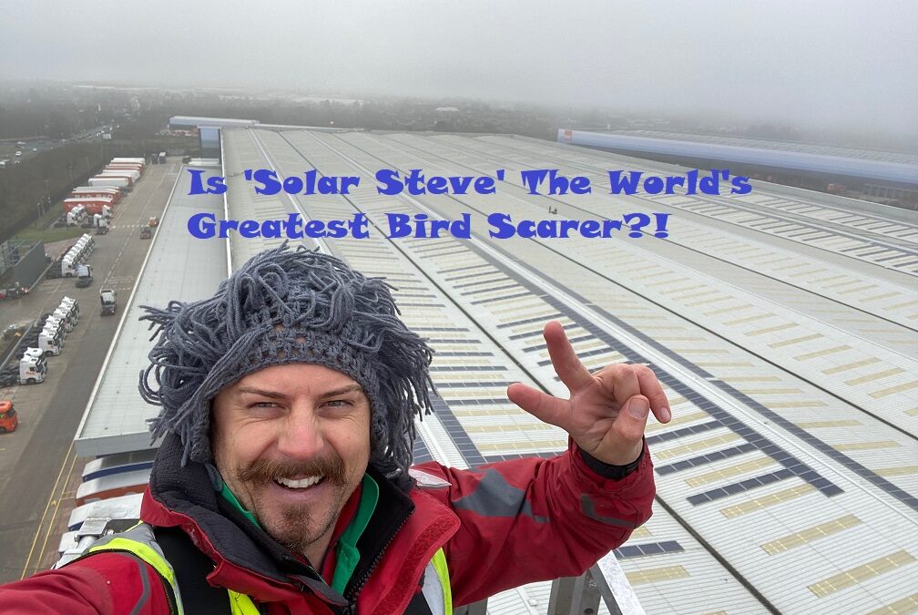 How Do You Keep Birds Off Solar Panels Without A Gun?!