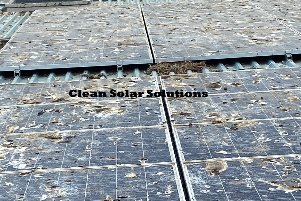 Solar Panel Cleaning In Aberdeen. Their Dirtiest Panels?
